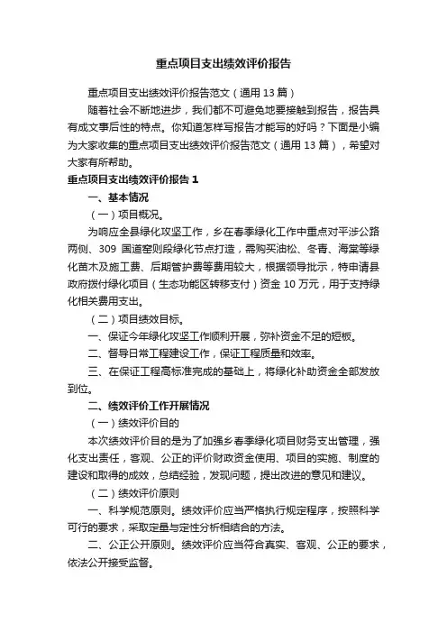 重点项目支出绩效评价报告范文（通用13篇）