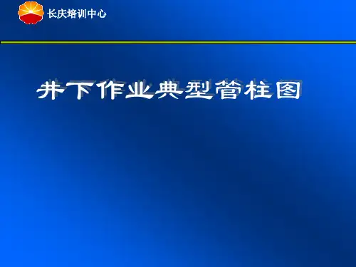 井下作业典型管柱图精品PPT课件