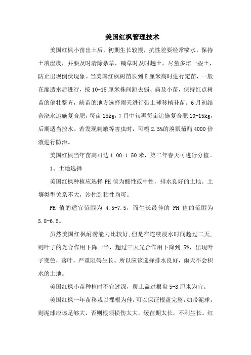 美国红枫管理技术