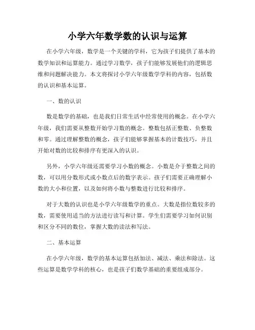 小学六年数学数的认识与运算