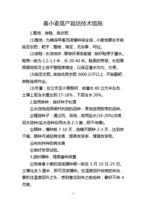 春小麦高产栽培技术措施--