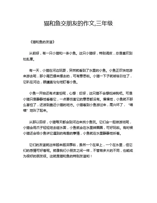 猫和鱼交朋友的作文,三年级