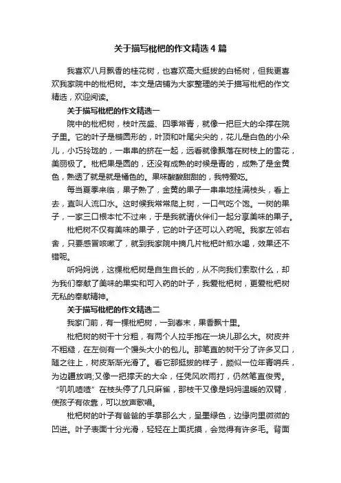 关于描写枇杷的作文精选4篇