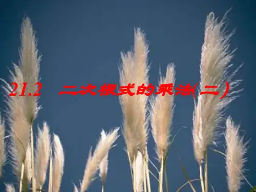 二次根式的乘法PPT课件