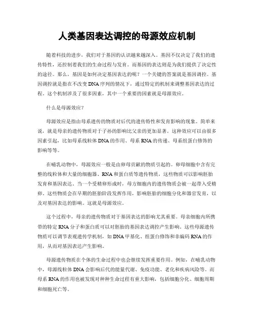 人类基因表达调控的母源效应机制