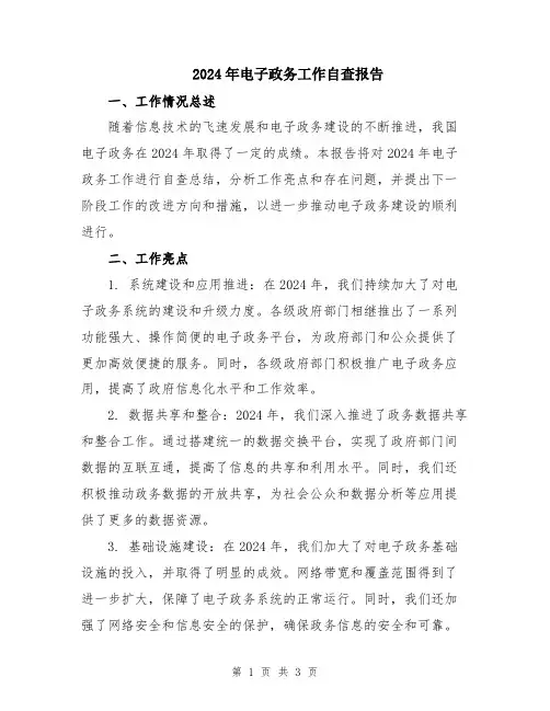 2024年电子政务工作自查报告