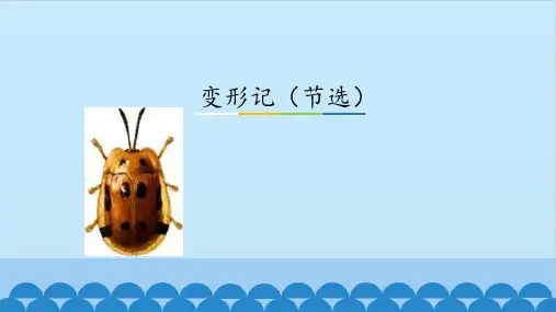高中语文必修下册《变形记》  课件(共18张PPT)