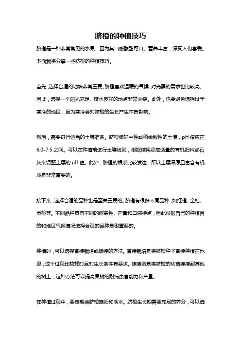 脐橙的种植技巧