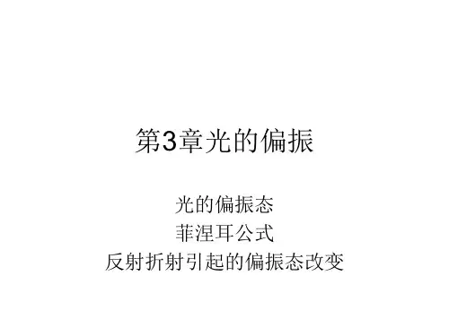 光的偏振