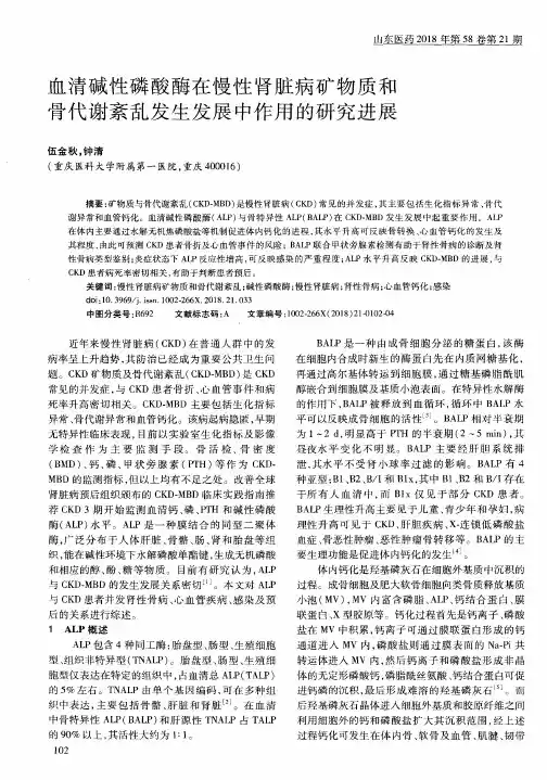 血清碱性磷酸酶在慢性肾脏病矿物质和骨代谢紊乱发生发展中作用的研究进展