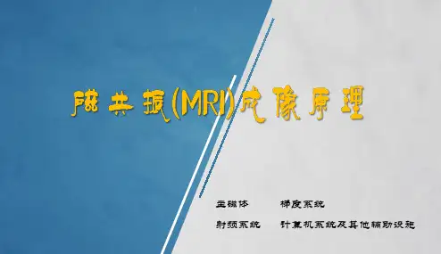 磁共振MRI成像原理2