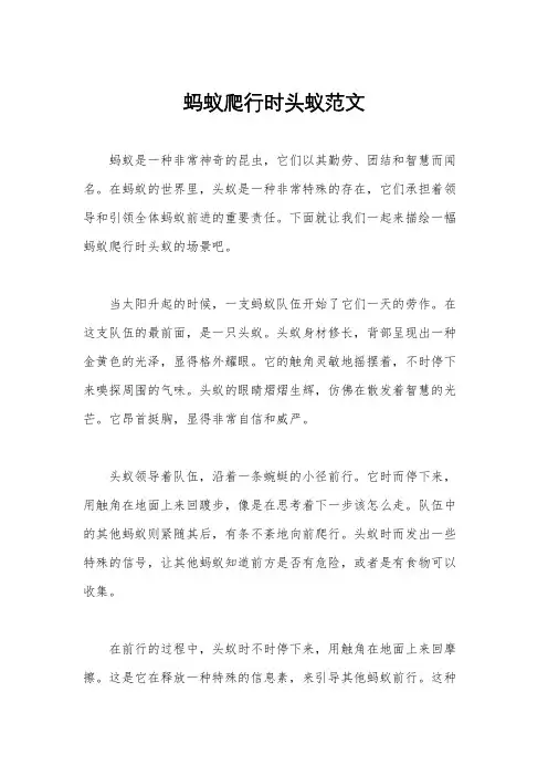 蚂蚁爬行时头蚁范文