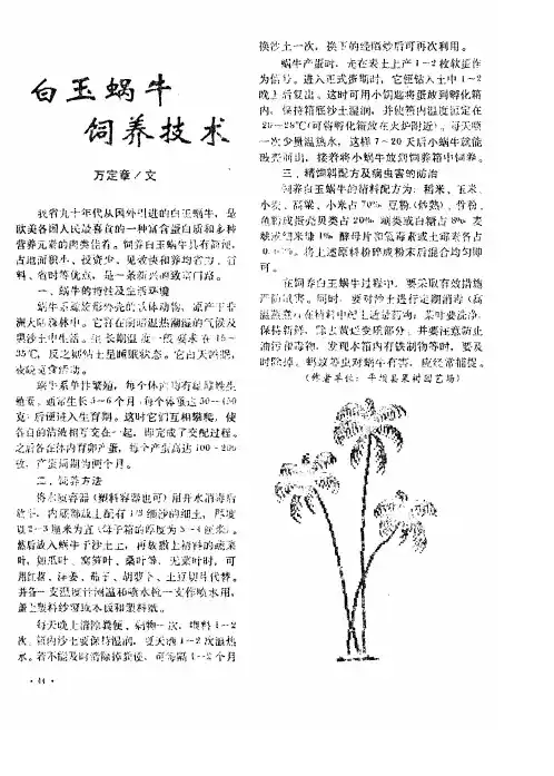 白玉蜗牛饲养技术