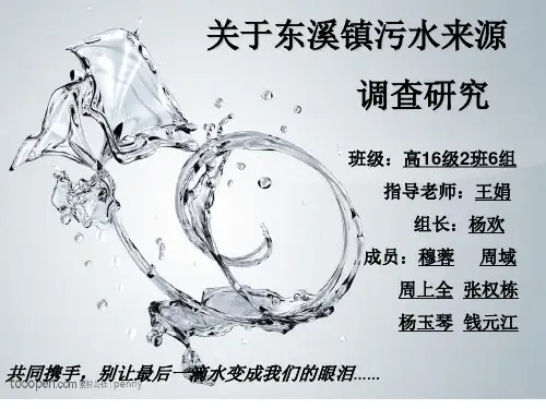 水污染课题调研 ppt