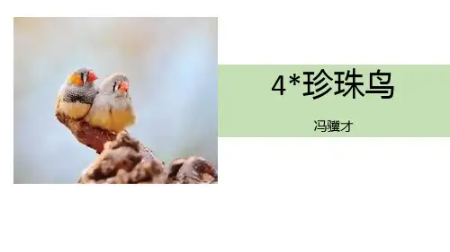 部编版五年级上册语文《珍珠鸟》说课教学PPT电子课件