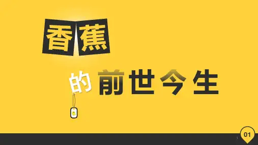 香蕉简介ppt课件