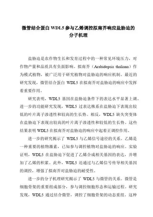 微管结合蛋白WDL5参与乙烯调控拟南芥响应盐胁迫的分子机理