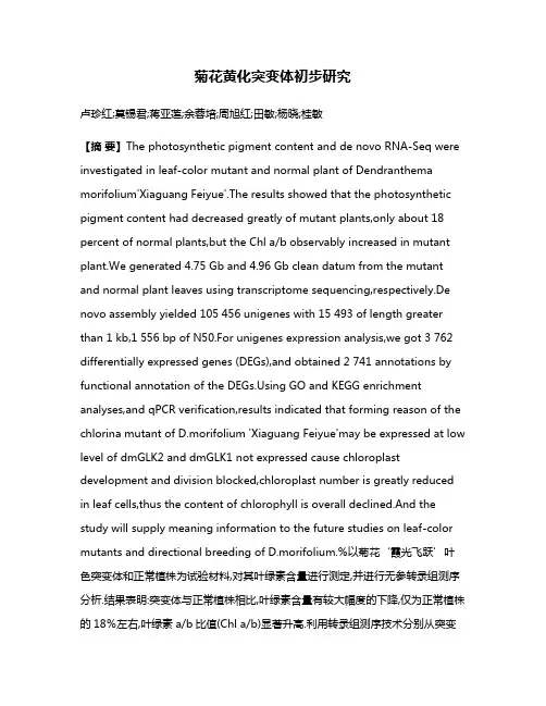 菊花黄化突变体初步研究