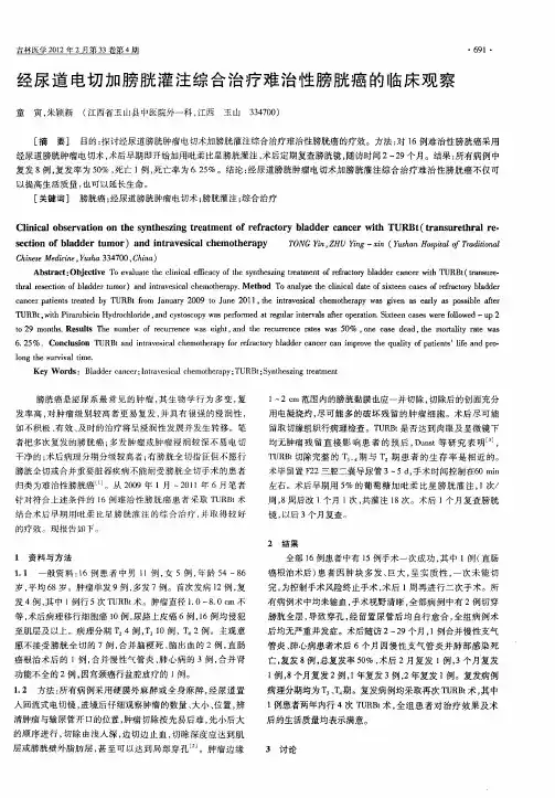 经尿道电切加膀胱灌注综合治疗难治性膀胱癌的临床观察