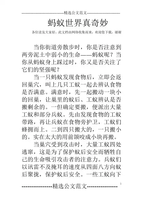 蚂蚁世界真奇妙