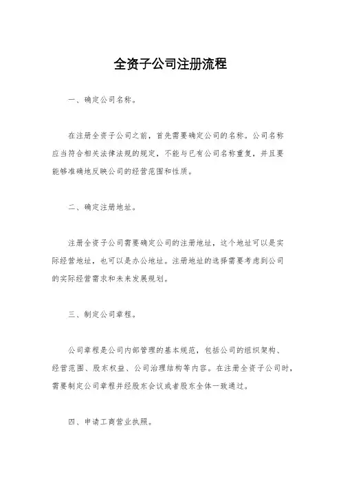 全资子公司注册流程