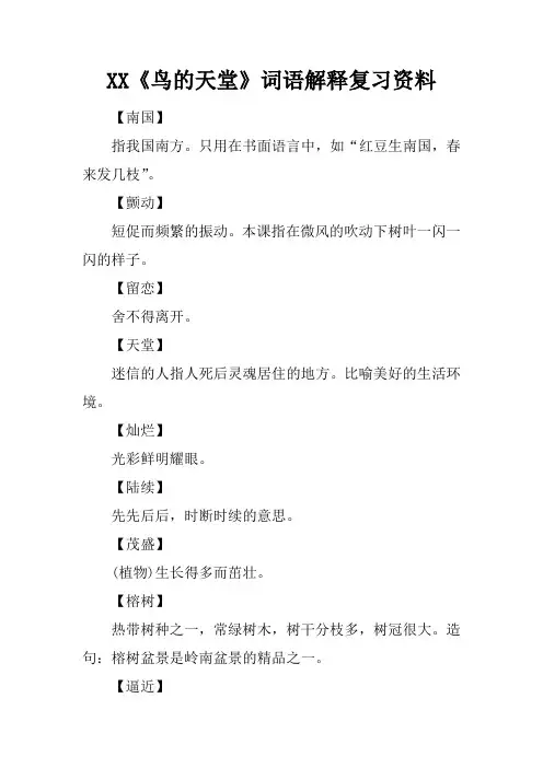 《鸟的天堂》词语解释复习资料