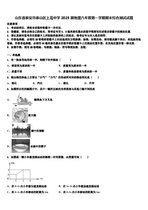 山东省泰安市泰山区上高中学2025届物理八年级第一学期期末综合测试试题含解析