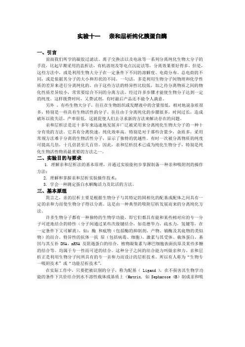 生化实验讲义：实验十一亲和层析最后