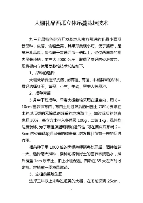 大棚礼品西瓜立体吊蔓栽培技术