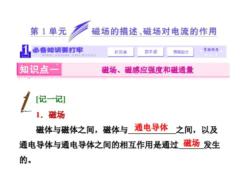 《三维设计》2014新课标高考物理一轮总复习课件  第八章 磁场第1单元  磁场的描述、磁场对电流的作用(65)