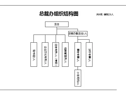 部门层面组织结构
