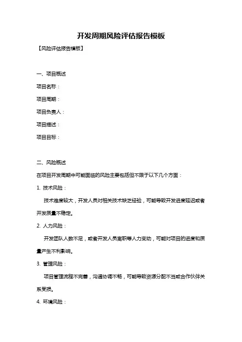 开发周期风险评估报告模板