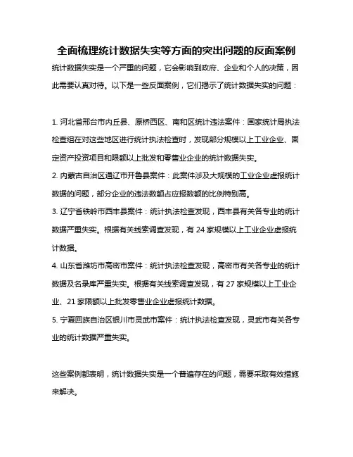 全面梳理统计数据失实等方面的突出问题的反面案例