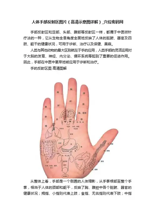 人体手部反射区图片（高清示意图详解）_穴位密码网