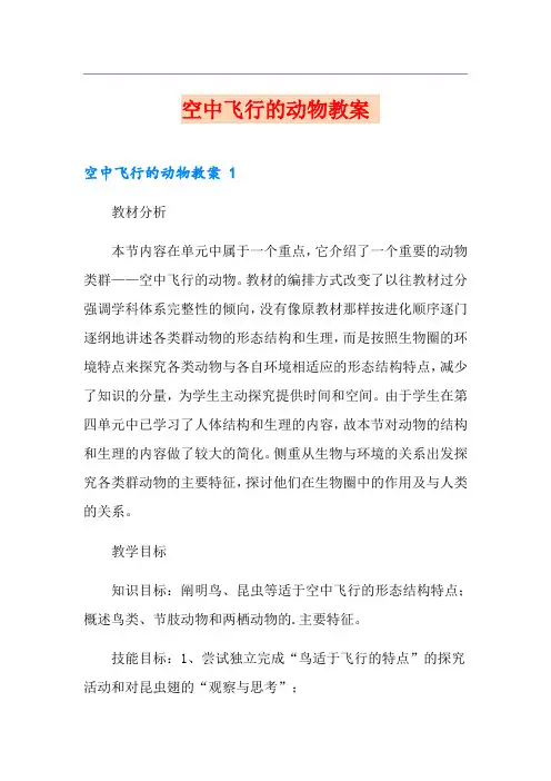 空中飞行的动物教案 