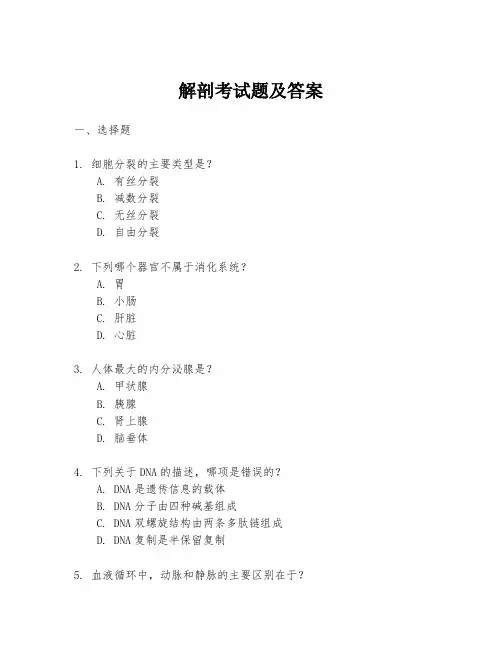 解剖考试题及答案
