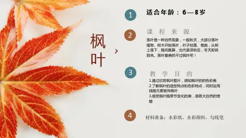 6-8岁儿童艺术画之线描枫叶