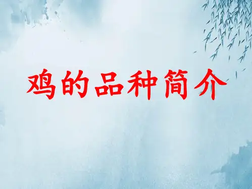 鸡的品种简介