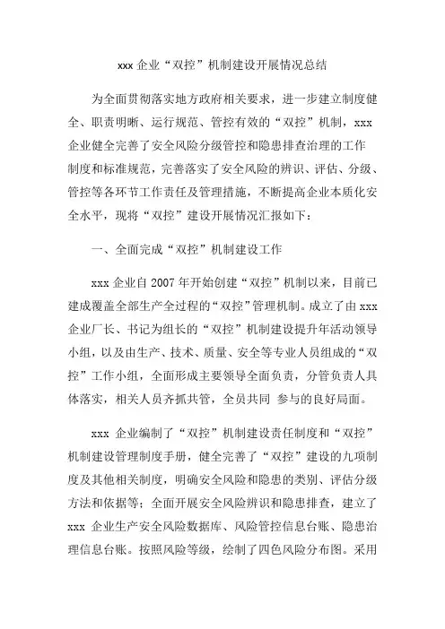 “双控”机制建设开展情况总结