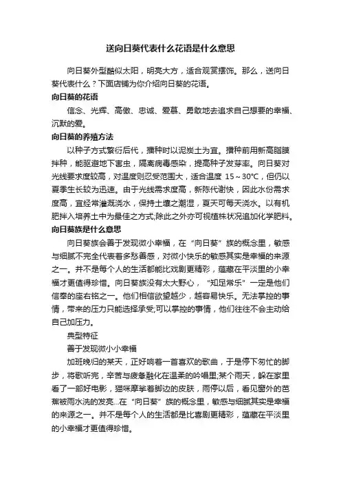 送向日葵代表什么花语是什么意思