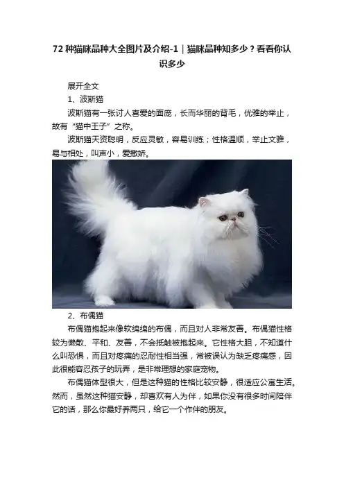72种猫咪品种大全图片及介绍-1｜猫咪品种知多少？看看你认识多少