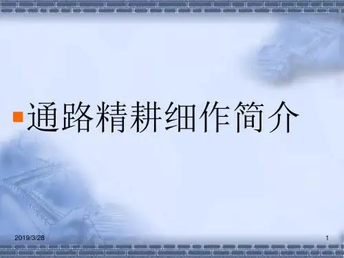 通路精耕细作-PPT精选文档