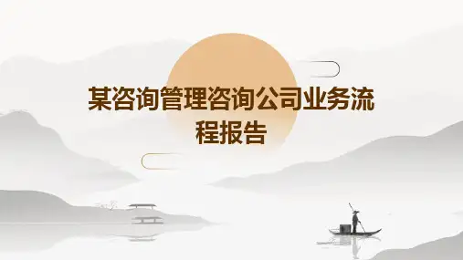 某咨询管理咨询公司业务流程报告
