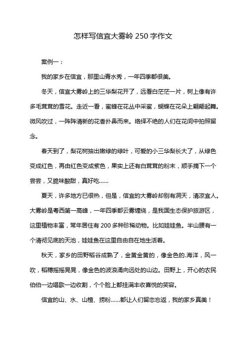 怎样写信宜大雾岭250字作文
