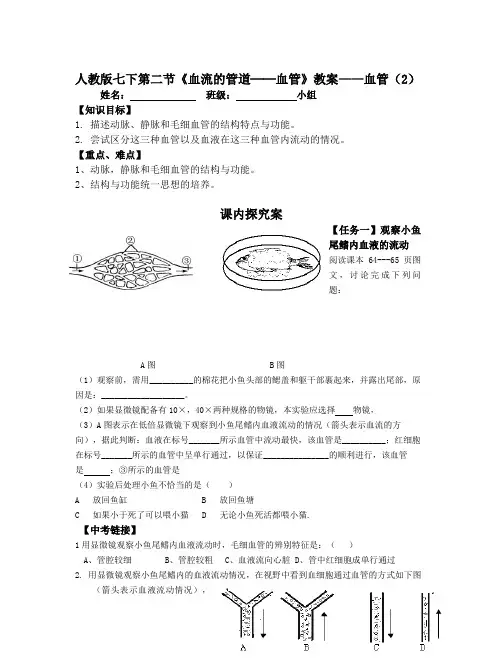 人教版七下第二节《血流的管道──血管》教案