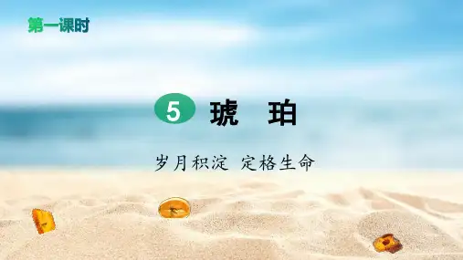 部编版四年级语文下册  5 琥珀(2课时版) (含练习)完整版