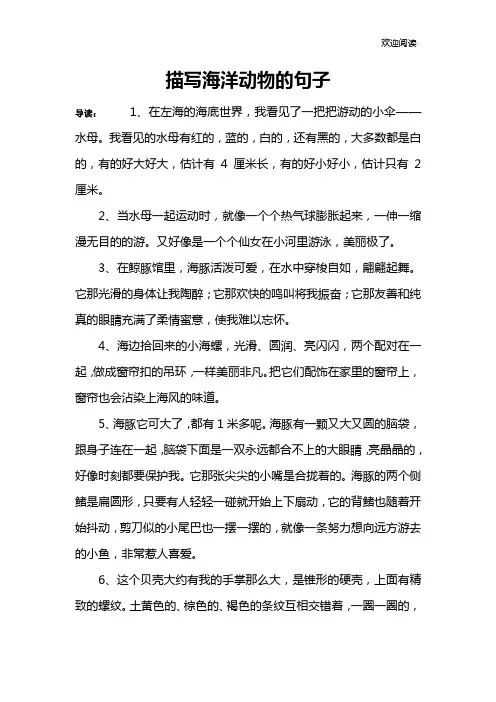 描写海洋动物的句子