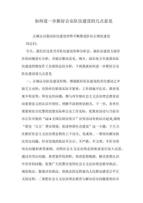 如何进一步抓好公安队伍建设的几点意见