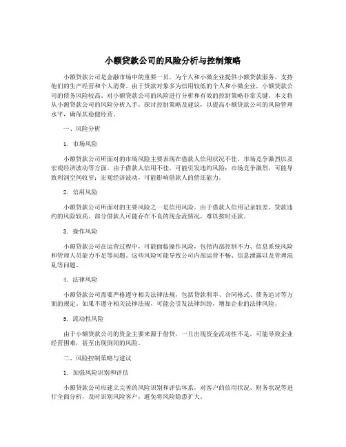 小额贷款公司的风险分析与控制策略
