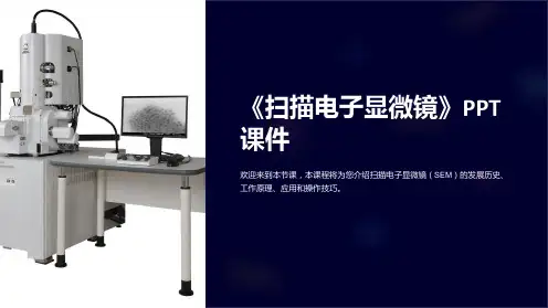 《扫描电子显微镜》课件